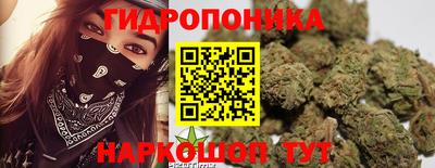 сатива Канаш