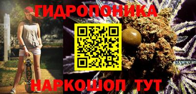 сатива Канаш