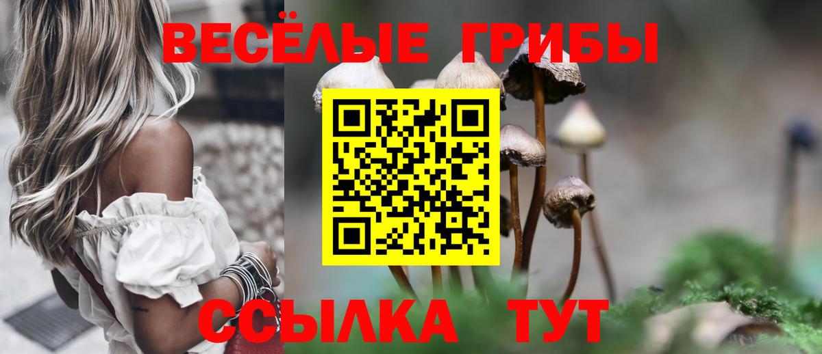 Ессентуки  Псилоцибиновые грибы Magic Shrooms  Псилоцибиновые грибы Psilocybine cubensis  Вход с VPN 
